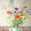 제빵기능사 이미지