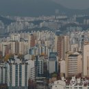 한국토지공인중개사사무소 이미지