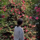다원결혼정보