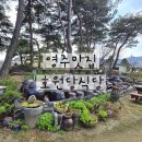 아름삼계탕 | 영주에서 몸보신 제대로! 영주 맛집 호원당식당