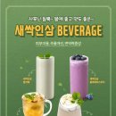 보령애견 이미지