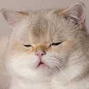 톰슨워시하우스 이미지