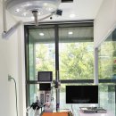 해운대동물메디컬센터 | 부산동물병원추천 해바른! 강아지지 슬개골 탈구 검진 후기