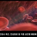 카페채움 이미지