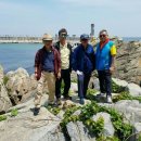 바다부채길2 이미지