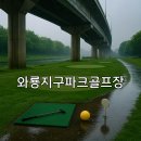금산와룡지구 생활체육시설 파크골프장 | 와룡지구파크골프장 이용방법과 홈페이지 확인 포인트