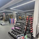 미휘트니스 이미지