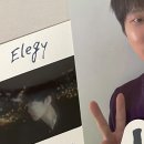 팬둥이 여러분! Elegy앨범 이미지