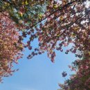 자하곡주차장(하) 이미지