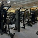 레벨업핏 이미지