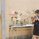 가자GO투어 | 대전 어두운 웨딩홀, 뷔페 맛있기로 유명한 루이비스 상담 후기 계약 후 취소 (w02-2)