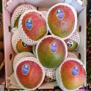 오늘 과일 이미지