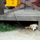 운악호스랜드 이미지