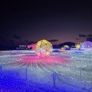 부림동 29-11 공영주차장 | 2025 해운대 빛축제 스텔라해운대 포토존 방문 후기