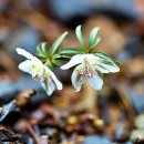 백암2리 경로당 이미지