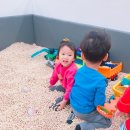 찬솔스포츠 이미지
