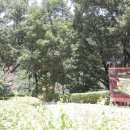 산동숲유치원 이미지