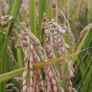 예일병원 이미지