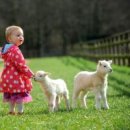 웃음꽃목장 이미지