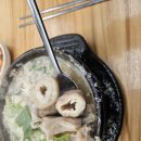 도봉원조 전남집순대국