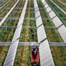 한경 태양광발전소 이미지