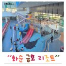 길목당구장 | 전남 화순 금호리조트 가성비 넘치는 리모델링 휴그린 패밀리 객실 조식 부대시설 아쿠아나 후기