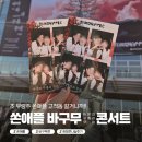 유쾌한 봄바람 콘서트 | <쏜애플 바다와 구름과 무대> 서울 화정체육관 지정석 B시야 및 콘서트 나눔 + 공연 후기