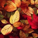 고수연세무회계사무소