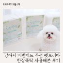 한장한코 | 강아지 배변패드 추천 펫토리아 한장뚝딱 사용해본 후기