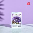 주식회사 넥타홀딩스 이미지