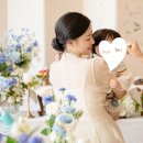 돌잔치 엄마 원피스 추천 브라이드앤유 원피스