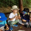 시립배곧이지더원2차어린이집 이미지