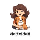 에버펫 동물병원 | [공지] 분당 에버펫 애견미용 &amp; 동물병원 소개