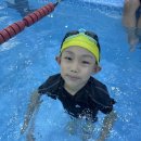 스위밍키즈 도안관저점 이미지