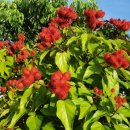 여산고등학교 이미지