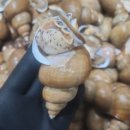 대운수산 네이버블로그