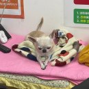 스피드메이트교동점 이미지