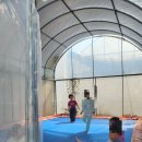 늘푸른 관광농원 | 철원 늘푸른체험농원 2박 3일힘들고 불편했는데… 아이 때문에 다시 가고 싶은 캠핑 🌧️⛺