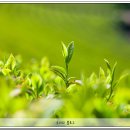 세모스쿠알렌 광주지점 이미지