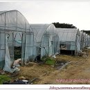 황태자농장 이미지