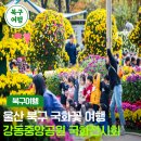 강동중앙공원 네이버블로그