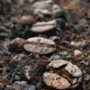 성은비료 이미지