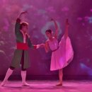 발레컬 나의 어린왕자이야기 이미지