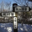 금성교 티스토리