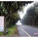 그린사이드펜션 이미지