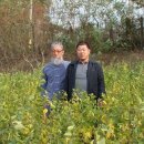 도인농장 이미지