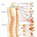 별체형관리 이미지