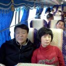 진원초등학교 Daum카페