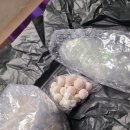 쿱스토어 | 스튜디오 쿱 - 쿱 시그니처 클래스 후기