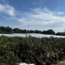 한바람이 | JW메리어트 리조트&amp;스파 이용후기 2탄